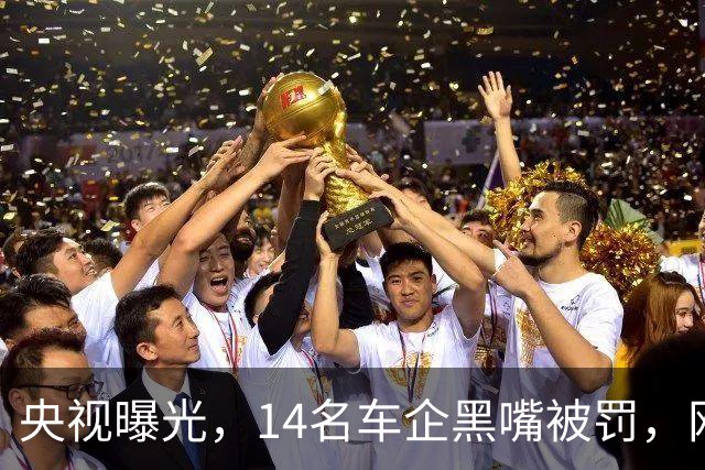 央视曝光，14名车企黑嘴被罚，网友评论一针见血，雷军恐又要憔悴